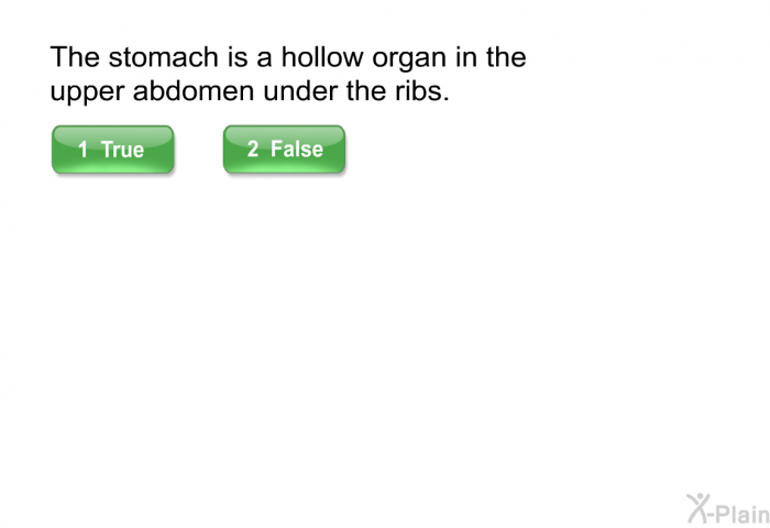 The stomach is a hollow organ in the upper abdomen under the ribs.