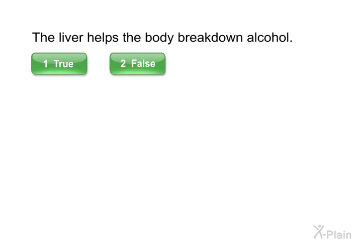 The liver helps the body breakdown alcohol.