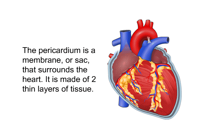 The pericardium is a membrane, or sac, that surrounds the heart. It is made of 2 thin layers of tissue.