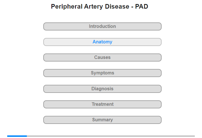 Anatomy