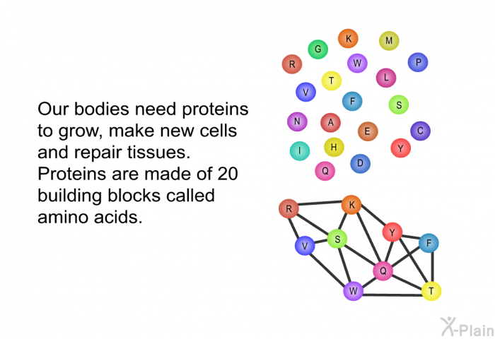 Our bodies need proteins to grow, make new cells and repair tissues. Proteins are made of 20 building blocks called amino acids.