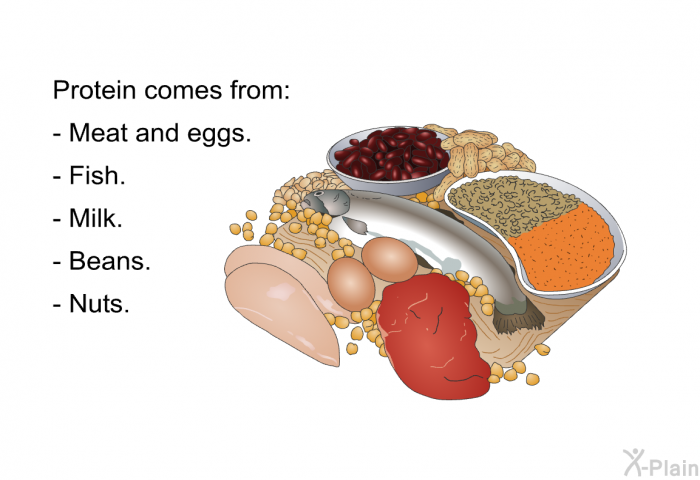 Protein comes from:  Meat and eggs. Fish. Milk. Beans. Nuts.