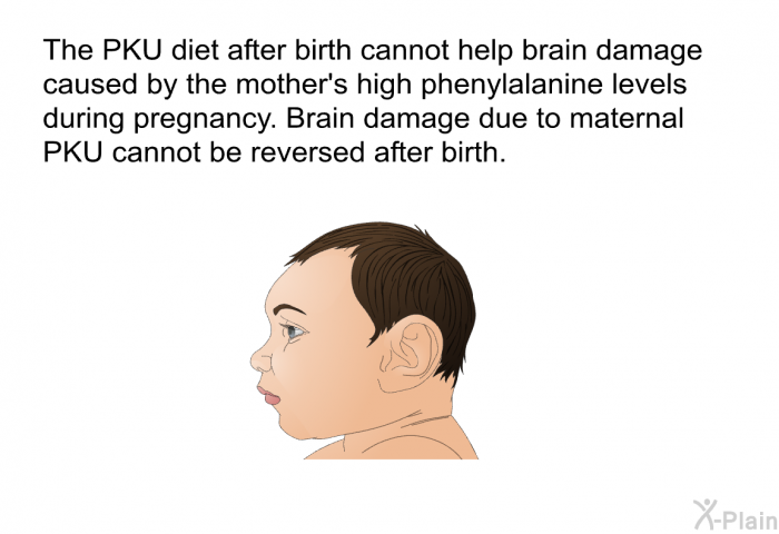 The PKU diet after birth cannot help brain damage caused by the mother's high phenylalanine levels during pregnancy. Brain damage due to maternal PKU cannot be reversed after birth.