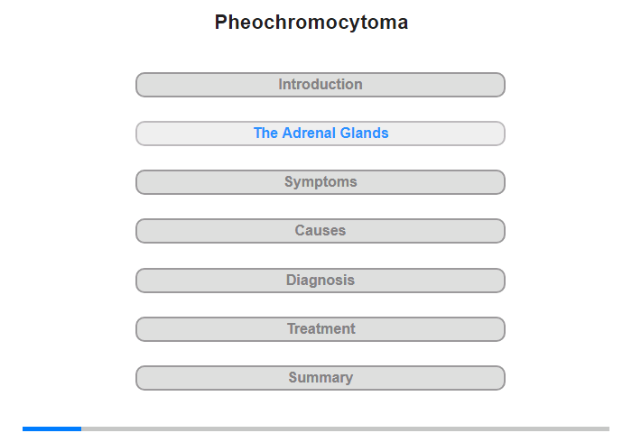 The Adrenal Glands