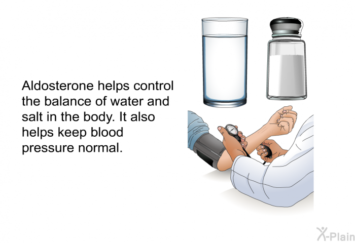 Aldosterone helps control the balance of water and salt in the body. It also helps keep blood pressure normal.