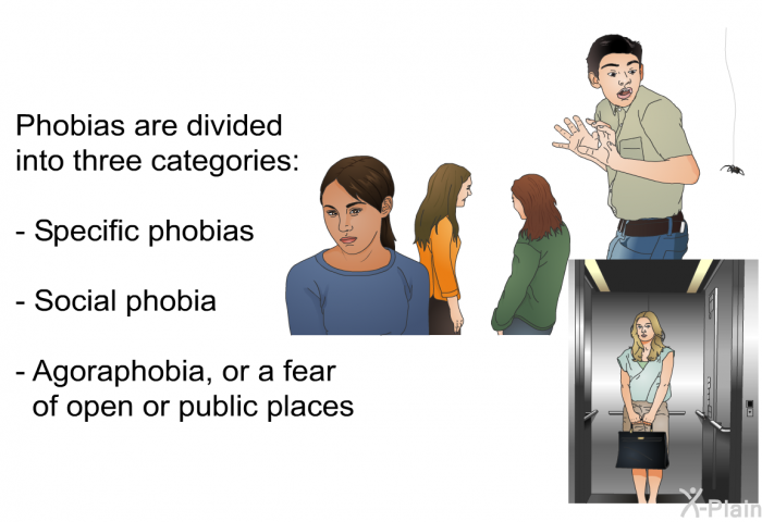Phobias are divided into three categories:  Specific phobias Social phobia Agoraphobia, or a fear of open or public places