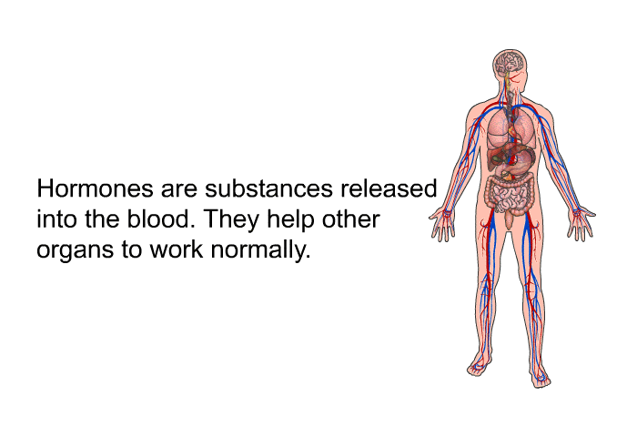 Hormones are substances released into the blood. They help other organs to work normally.