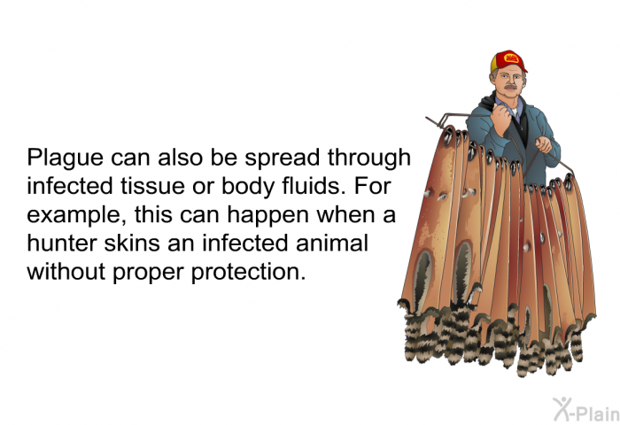 Plague can also be spread through infected tissue or body fluids. For example, this can happen when a hunter skins an infected animal without proper protection.