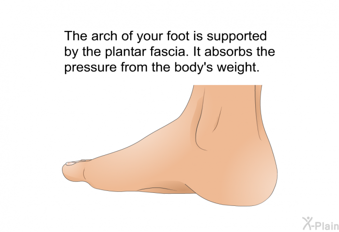 The arch of your foot is supported by the plantar fascia. It absorbs the pressure from the body's weight.