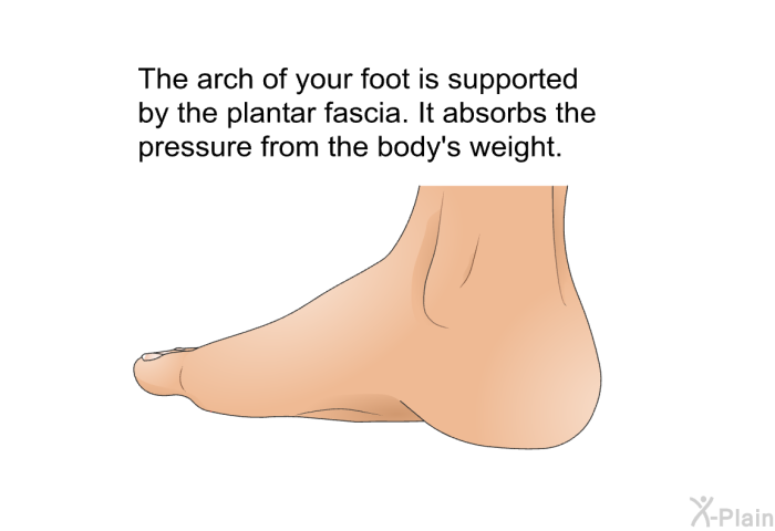 The arch of your foot is supported by the plantar fascia. It absorbs the pressure from the body's weight.