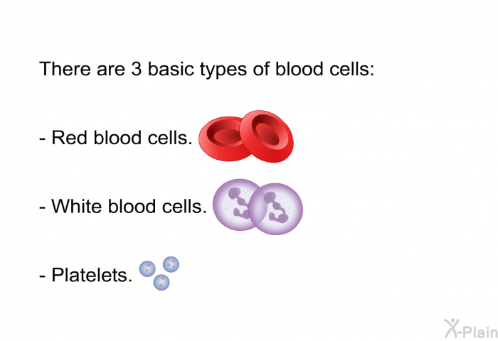There are 3 basic types of blood cells:  Red blood cells. White blood cells. Platelets.