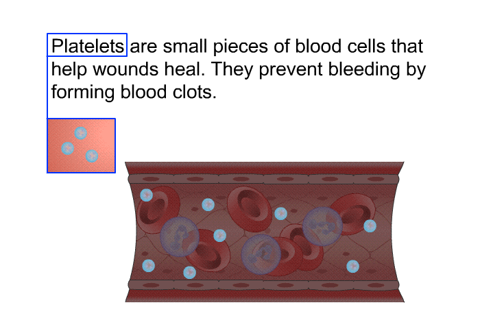Platelets are small pieces of blood cells that help wounds heal. They prevent bleeding by forming blood clots.