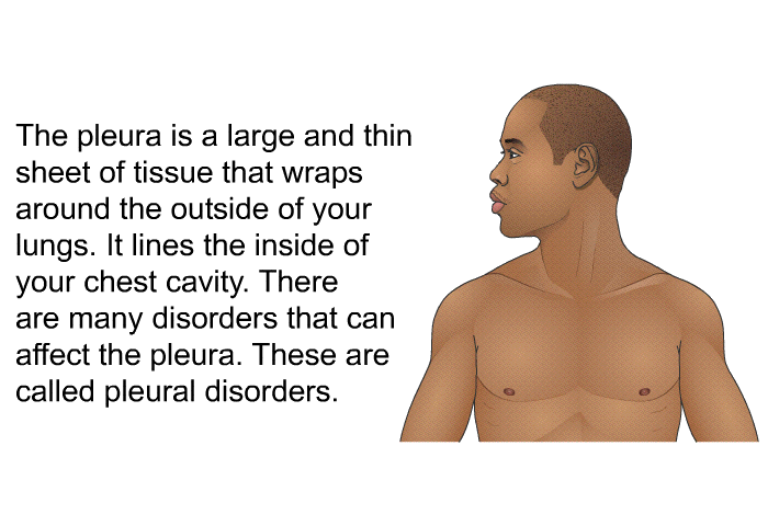 The pleura is a large and thin sheet of tissue that wraps around the outside of your lungs. It lines the inside of your chest cavity. There are many disorders that can affect the pleura. These are called pleural disorders.