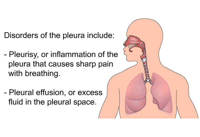 Disorders of the pleura include:  Pleurisy, or inflammation of the pleura that causes sharp pain with breathing. Pleural effusion, or excess fluid in the pleural space.
