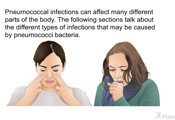 Pneumococcal infections can affect many different parts of the body. The following sections talk about the different types of infections that may be caused by pneumococci bacteria.