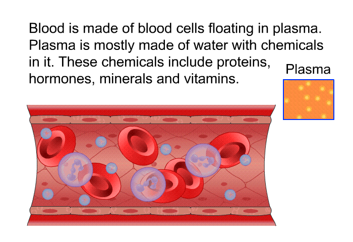 Blood is made of blood cells floating in plasma. Plasma is mostly made of water with chemicals in it. These chemicals include proteins, hormones, minerals and vitamins.