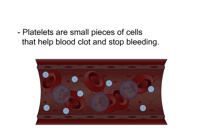 Platelets<B> </B>are small pieces of cells that help blood clot and stop bleeding.