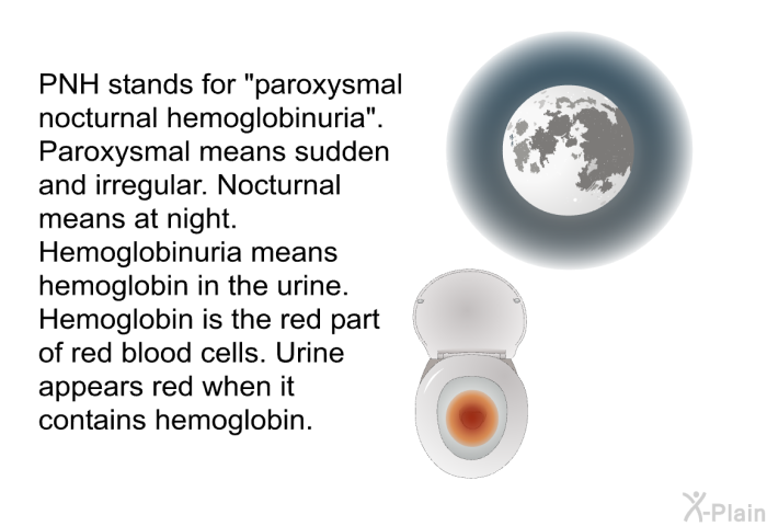 PNH stands for “paroxysmal nocturnal hemoglobinuria”. Paroxysmal means sudden and irregular. Nocturnal means at night. Hemoglobinuria means hemoglobin in the urine. Hemoglobin is the red part of red blood cells. Urine appears red when it contains hemoglobin.