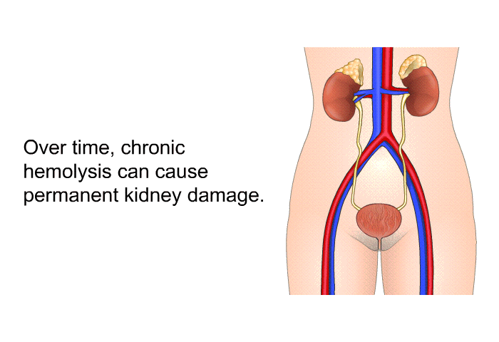 Over time, chronic hemolysis can cause permanent kidney damage.