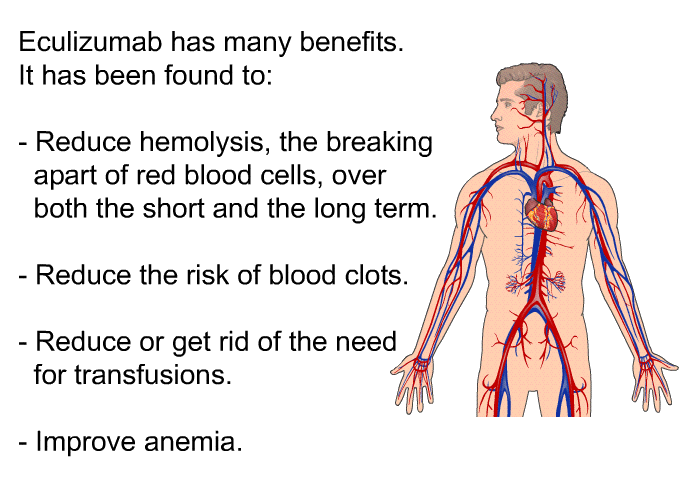 Eculizumab has many benefits. It has been found to:  Reduce hemolysis, the breaking apart of red blood cells, over both the short and the long term. Reduce the risk of blood clots. Reduce or get rid of the need for transfusions. Improve anemia.