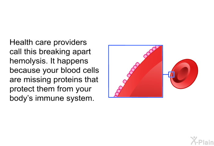 Health care providers call this breaking apart hemolysis. It happens because your blood cells are missing proteins that protect them from your body's immune system.
