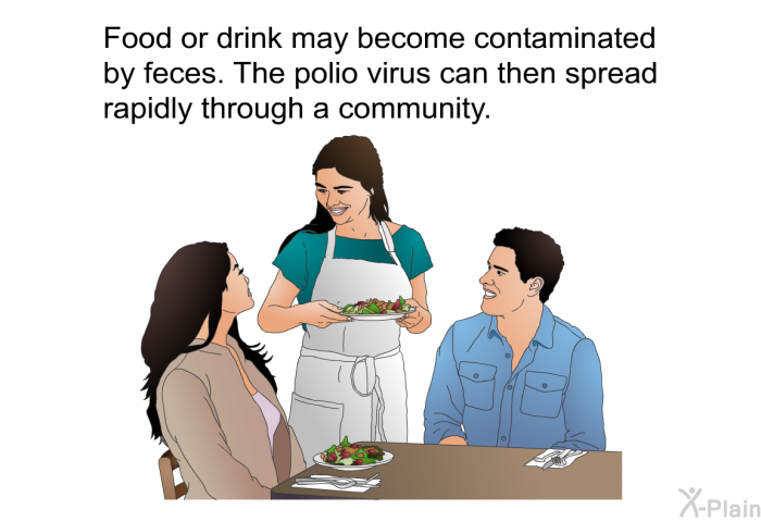 Food or drink may become contaminated by feces. The polio virus can then spread rapidly through a community.