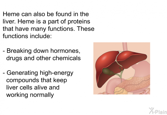 Heme can also be found in the liver. Heme is a part of proteins that have many functions. These functions include:  Breaking down hormones, drugs and other chemicals Generating high-energy compounds that keep liver cells alive and working normally