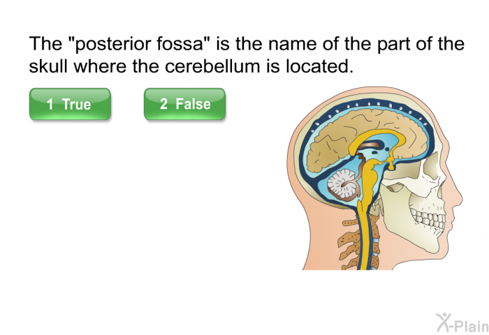 The “posterior fossa” is the name of the part of the skull where the cerebellum is located. Press True or False.