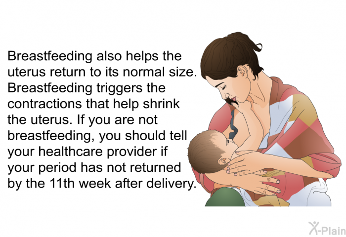 Breastfeeding also helps the uterus return to its normal size. Breastfeeding triggers the contractions that help shrink the uterus. If you are not breastfeeding, you should tell your healthcare provider if your period has not returned by the 11th week after delivery.