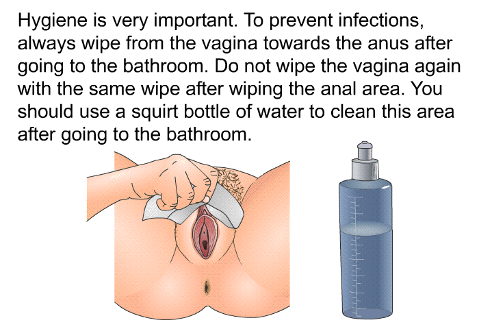 Hygiene is very important. To prevent infections, always wipe from the vagina towards the anus after going to the bathroom. Do not wipe the vagina again with the same wipe after wiping the anal area. You should use a squirt bottle of water to clean this area after going to the bathroom.