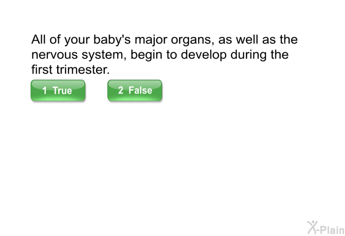 All of your baby's major organs, as well as the nervous system, begin to develop during the first trimester.