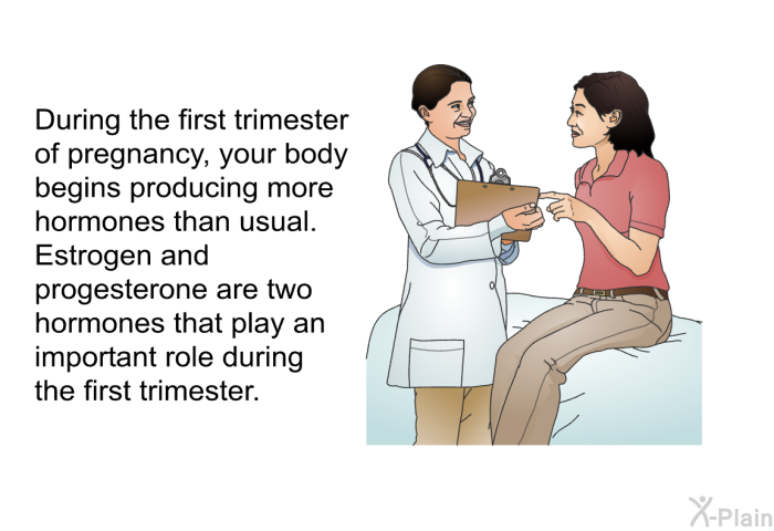During the first trimester of pregnancy, your body begins producing more hormones than usual. Estrogen and progesterone are two hormones that play an important role during the first trimester.