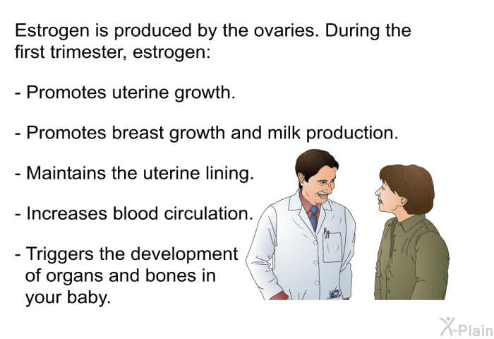 Estrogen is produced by the ovaries. During the first trimester, estrogen:  Promotes uterine growth. Promotes breast growth and milk production. Maintains the uterine lining. Increases blood circulation. Triggers the development of organs and bones in your baby.