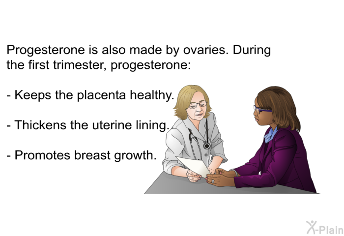 Progesterone is also made by ovaries. During the first trimester, progesterone:  Keeps the placenta healthy. Thickens the uterine lining. Promotes breast growth.