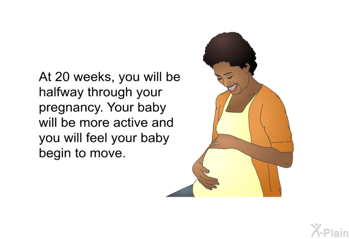 At 20 weeks, you will be halfway through your pregnancy. Your baby will be more active and you will feel your baby begin to move.