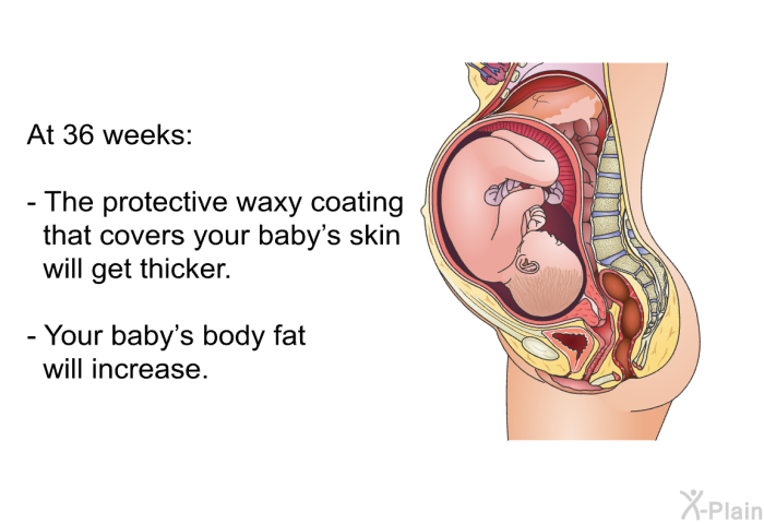 At 36 weeks:  The protective waxy coating that covers your baby's skin will get thicker. Your baby's body fat will increase.