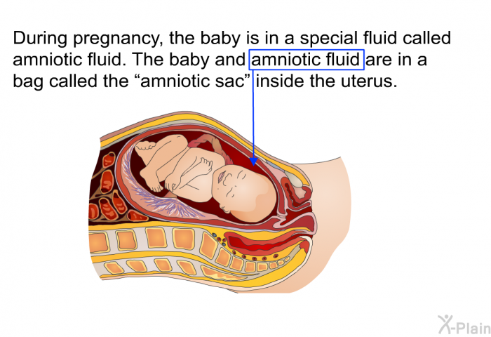During pregnancy, the baby is in a special fluid called amniotic fluid. The baby and amniotic fluid are in a bag called the “amniotic sac” inside the uterus.