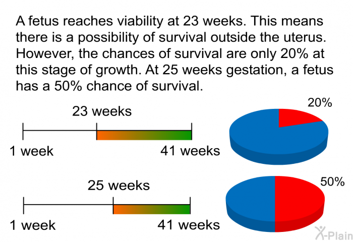 A fetus reaches viability at 23 weeks. This means there is a possibility of survival outside the uterus. However, the chances of survival are only 20% at this stage of growth. At 25 weeks gestation, a fetus has a 50% chance of survival.