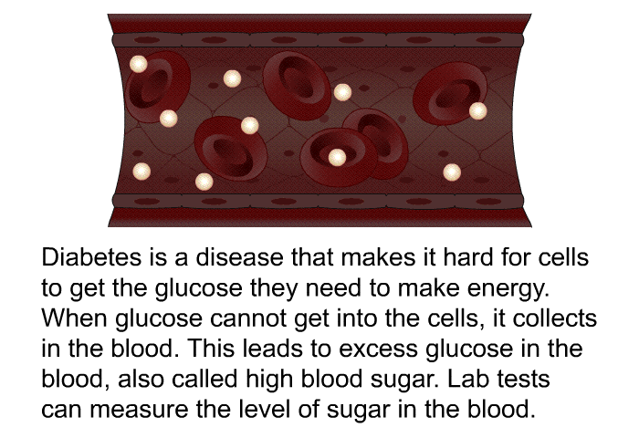 Diabetes is a disease that makes it hard for cells to get the glucose they need to make energy. When glucose cannot get into the cells, it collects in the blood. This leads to excess glucose in the blood, also called high blood sugar. Lab tests can measure the level of sugar in the blood.