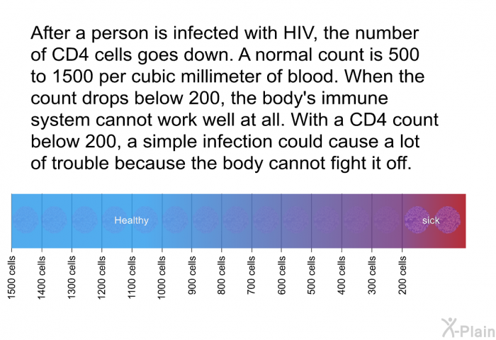 After a person is infected with HIV, the number of CD4 cells goes down. A normal count is 500 to 1500 per cubic millimeter of blood. When the count drops below 200, the body's immune system cannot work well at all. With a CD4 count below 200, a simple infection could cause a lot of trouble because the body cannot fight it off.