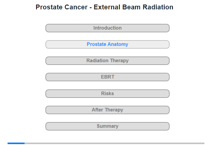 Prostate Anatomy