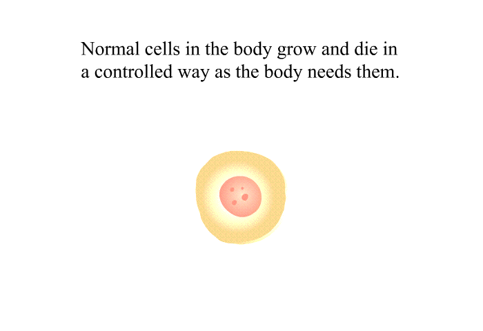 Normal cells in the body grow and die in a controlled way as the body needs them.