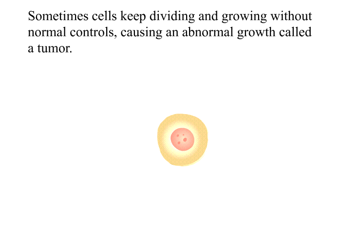 Sometimes cells keep dividing and growing without normal controls, causing an abnormal growth called a tumor.