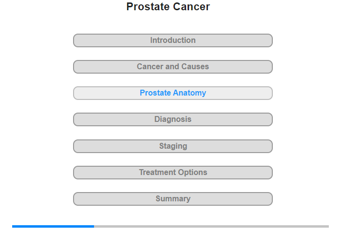 Prostate Anatomy