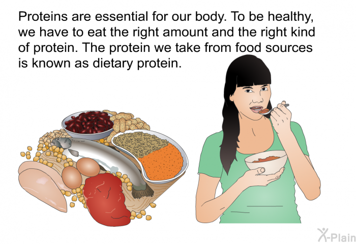 Proteins are essential for our body. To be healthy, we have to eat the right amount and the right kind of protein. The protein we take from food sources is known as dietary protein.