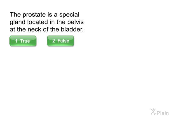 The prostate is a special gland located in the pelvis at the neck of the bladder.