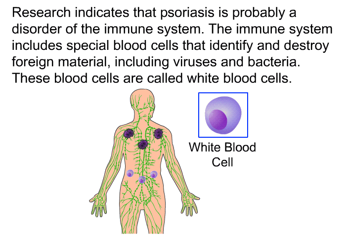 Research indicates that psoriasis is probably a disorder of the immune system. The immune system includes special blood cells that identify and destroy foreign material, including viruses and bacteria. These blood cells are called white blood cells.