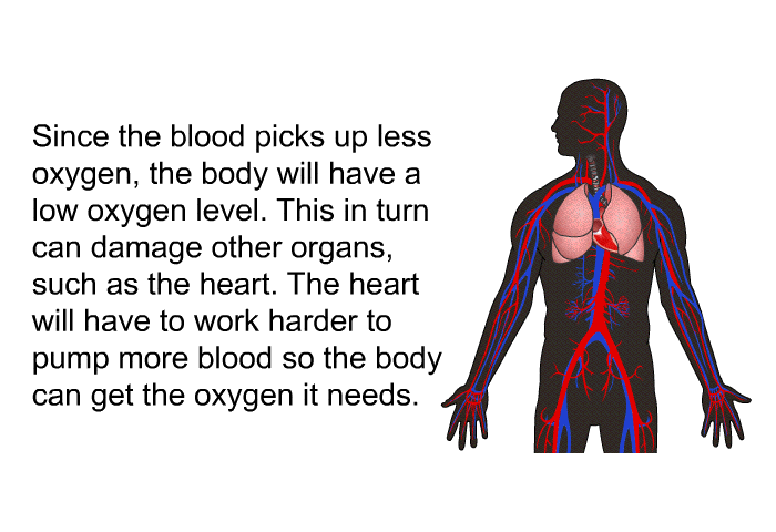 Since the blood picks up less oxygen, the body will have a low oxygen level. This in turn can damage other organs, such as the heart. The heart will have to work harder to pump more blood so the body can get the oxygen it needs.