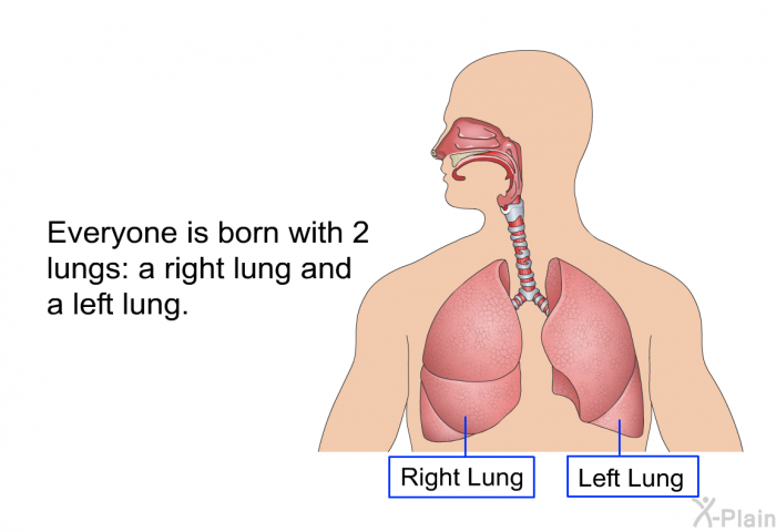 Everyone is born with 2 lungs: a right lung and a left lung.