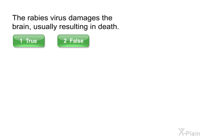 The rabies virus damages the brain, usually resulting in death.